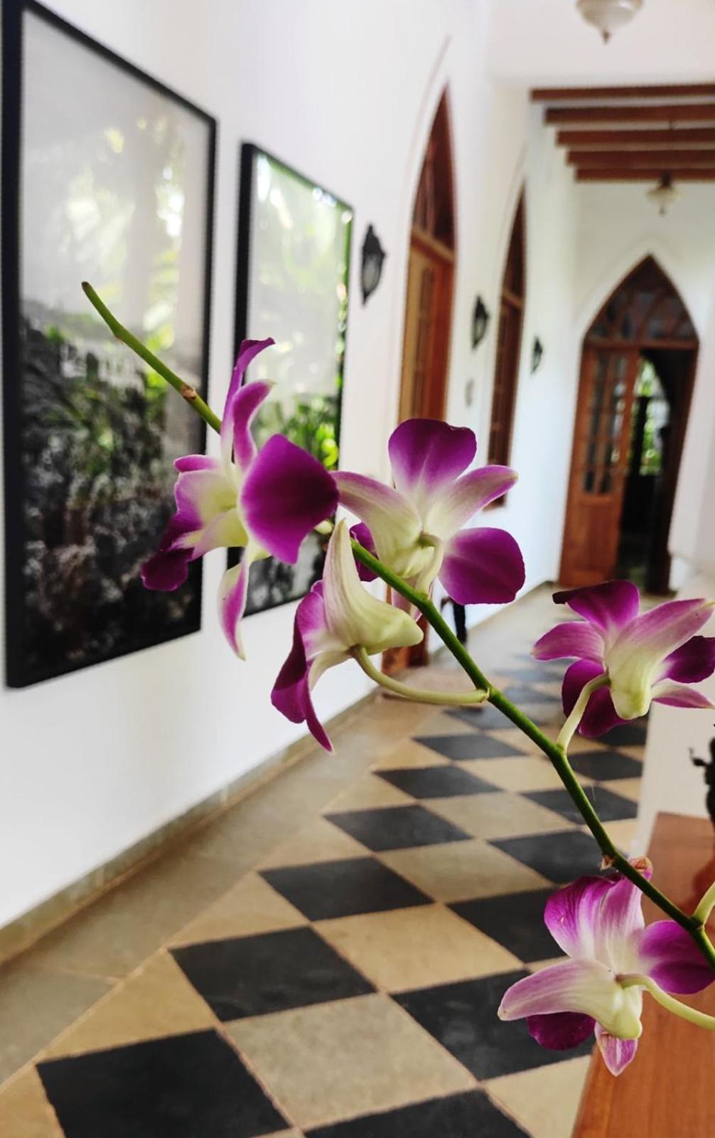 Hotel The Postcard Saligao Calangute Exterior foto